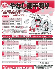 やなし潮干狩り