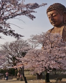 「東海市の四季」写真コンクールの作品募集
