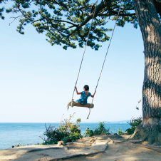 ハイジのブランコ