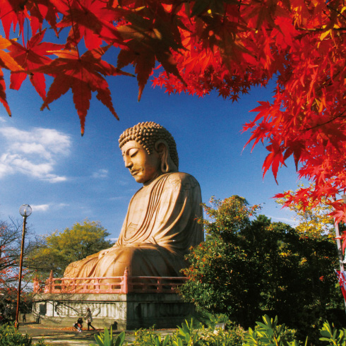 聚楽園公園