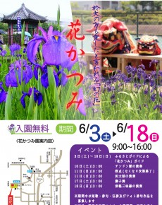 花かつみ