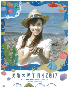 美浜の潮干狩り2017