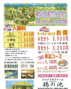 種なし巨峰のぶどう狩り