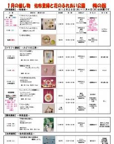 1月 佐布里緑と花のふれあい公園 梅の館