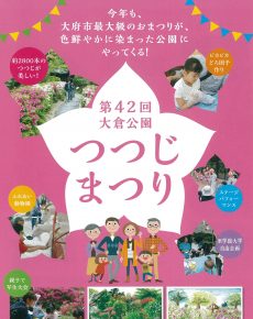 第42回 大倉公園つつじまつり