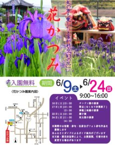 花かつみ