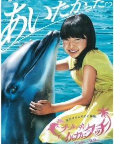夏だけのふれあい体験!プールの中でイルカにタッチ