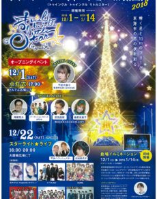 ウィンターイルミネーションin太田川2018