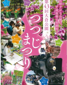 第43回 大倉公園つつじまつり