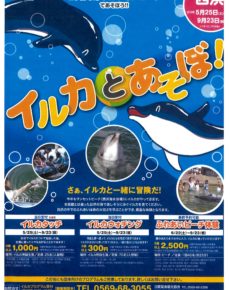ドルフィンアイランド日間賀島