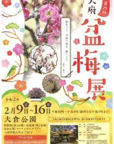 第29回大府盆梅展