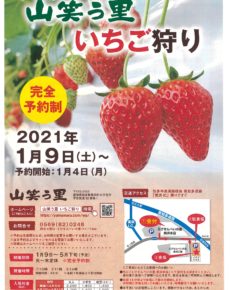 山笑う里いちご狩り
