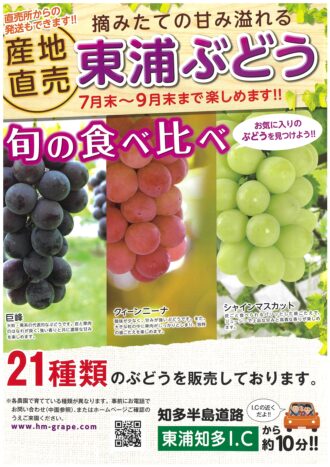 ぶどう狩り～東浦の豊かな丘陵地で、甘み溢れるぶどうが堪能できます！