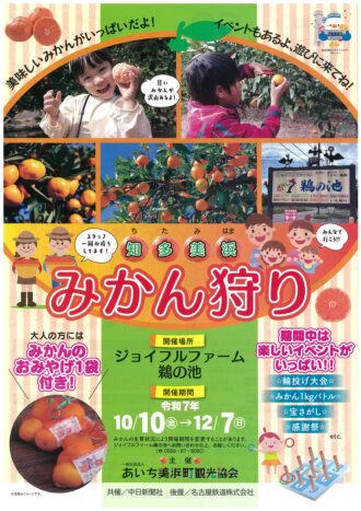 知多美浜 みかん狩り