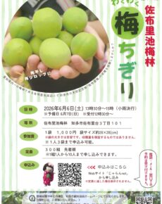 佐布里池梅林　わくわく梅ちぎり