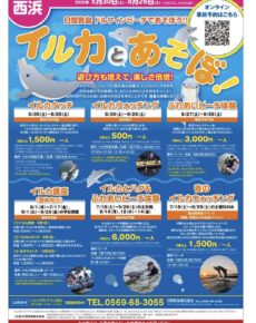 日間賀島ドルフィンビーチ２０２６