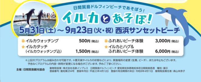 イルカふれあい体験～日間賀島ドルフィンビーチ2025