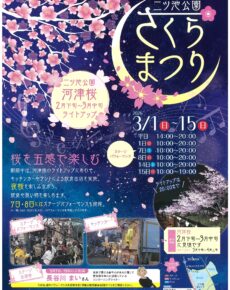 二ツ池公園さくらまつり