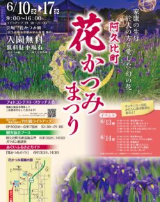 阿久比町　花かつみまつり