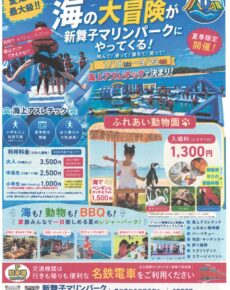 新舞子マリンパーク　海上アスレチック